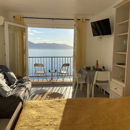 Studio Climatise Avec Terrasse Et Acces Direct Plage A Tiuccia - Fr-1-61-478 Apartamento